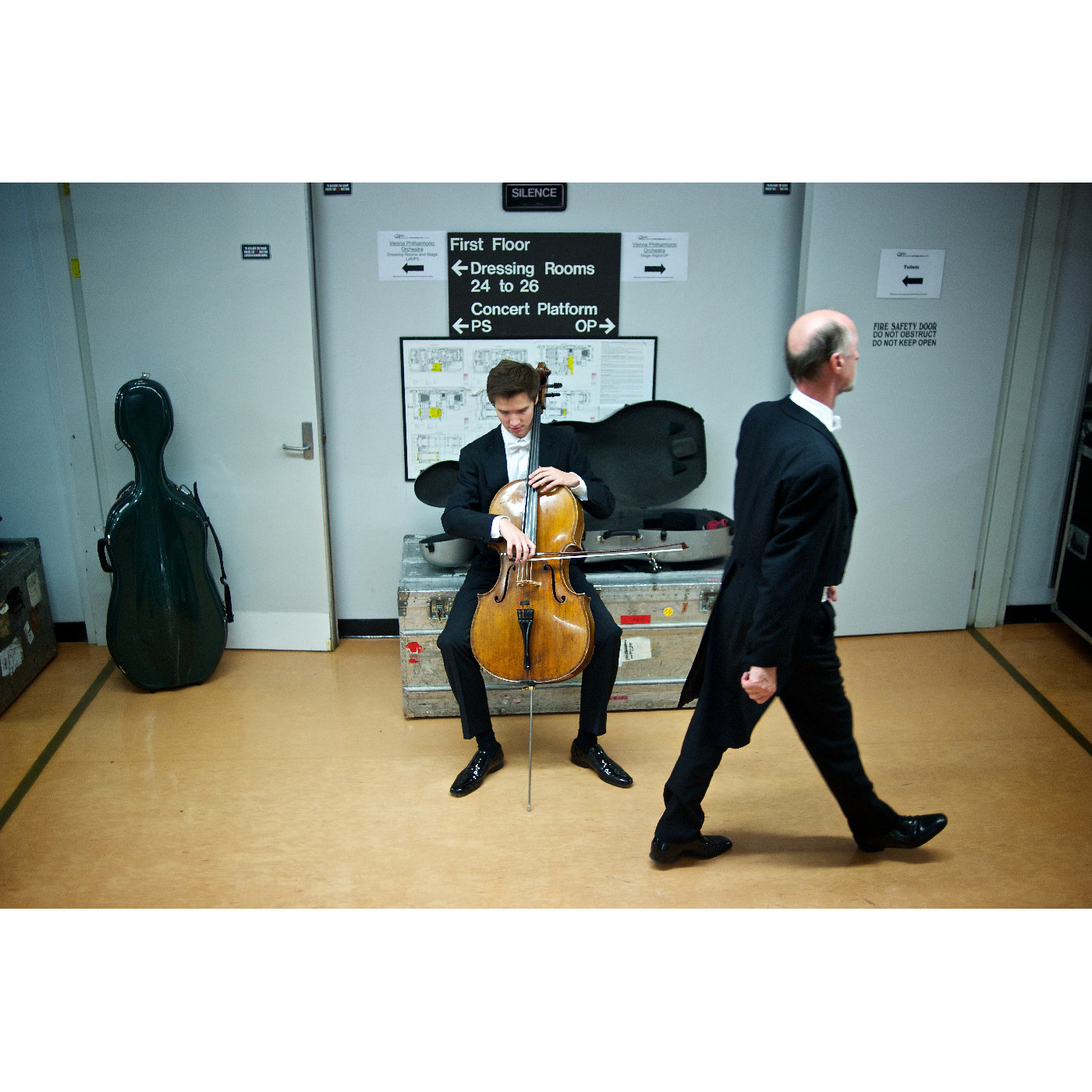 Vienna Philharmonic Orchestra, 2011