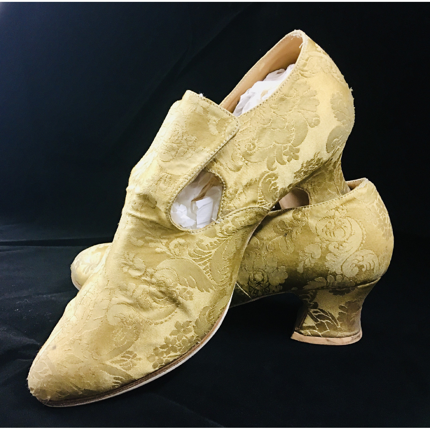 COMING SOON! - Exhibitions and displays