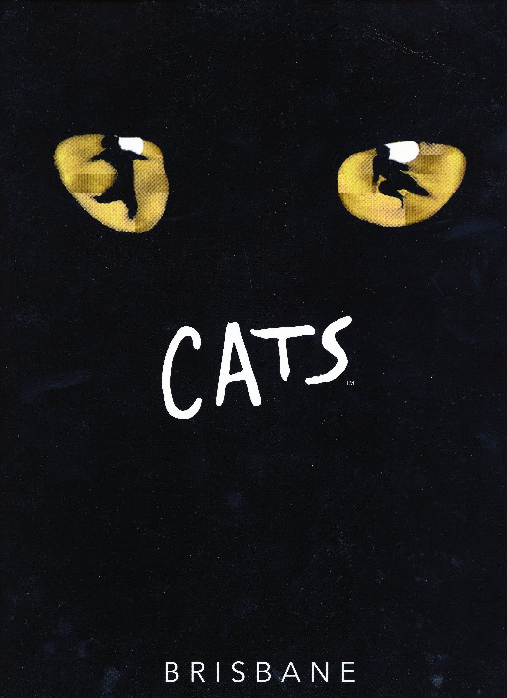 Cats, 2009