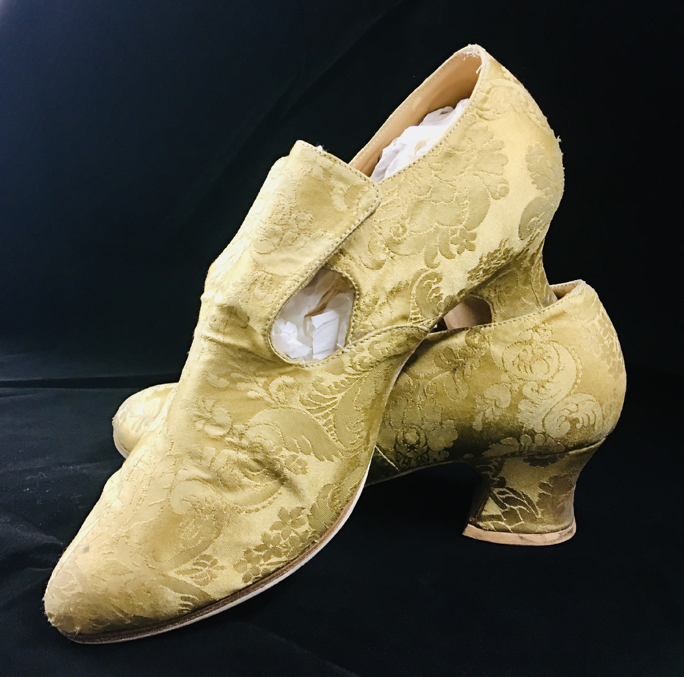 COMING SOON! - Exhibitions and displays